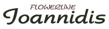 2025 2026 SFM Ioannidis logo